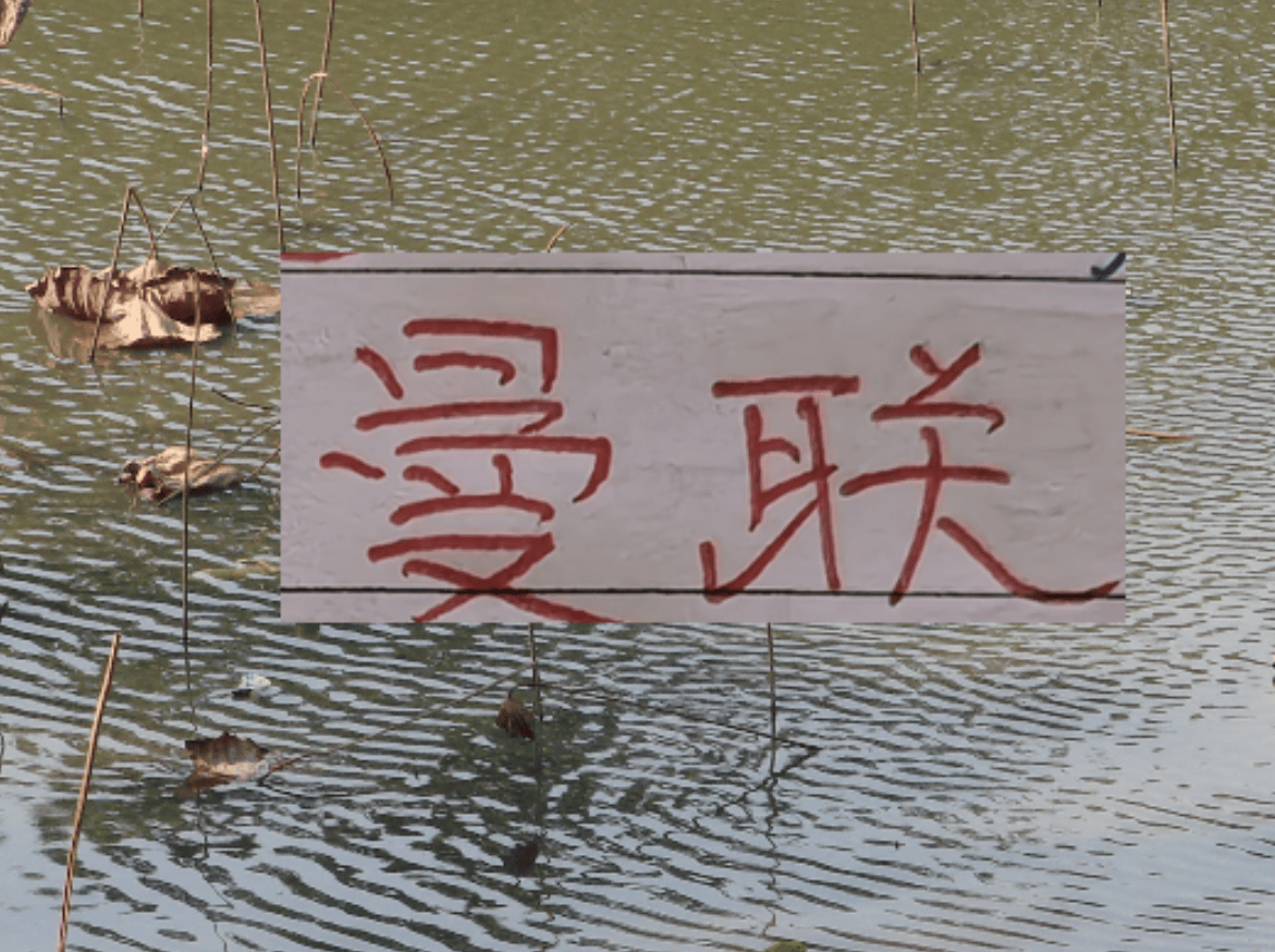 有排面!U23国足上了《新闻联播》 曼联B费再次入选英超单轮MVP